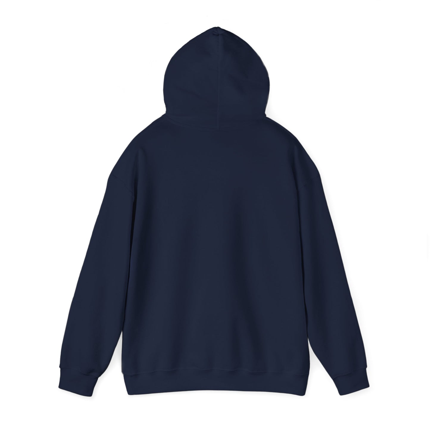 Divorced Parents Hoodie