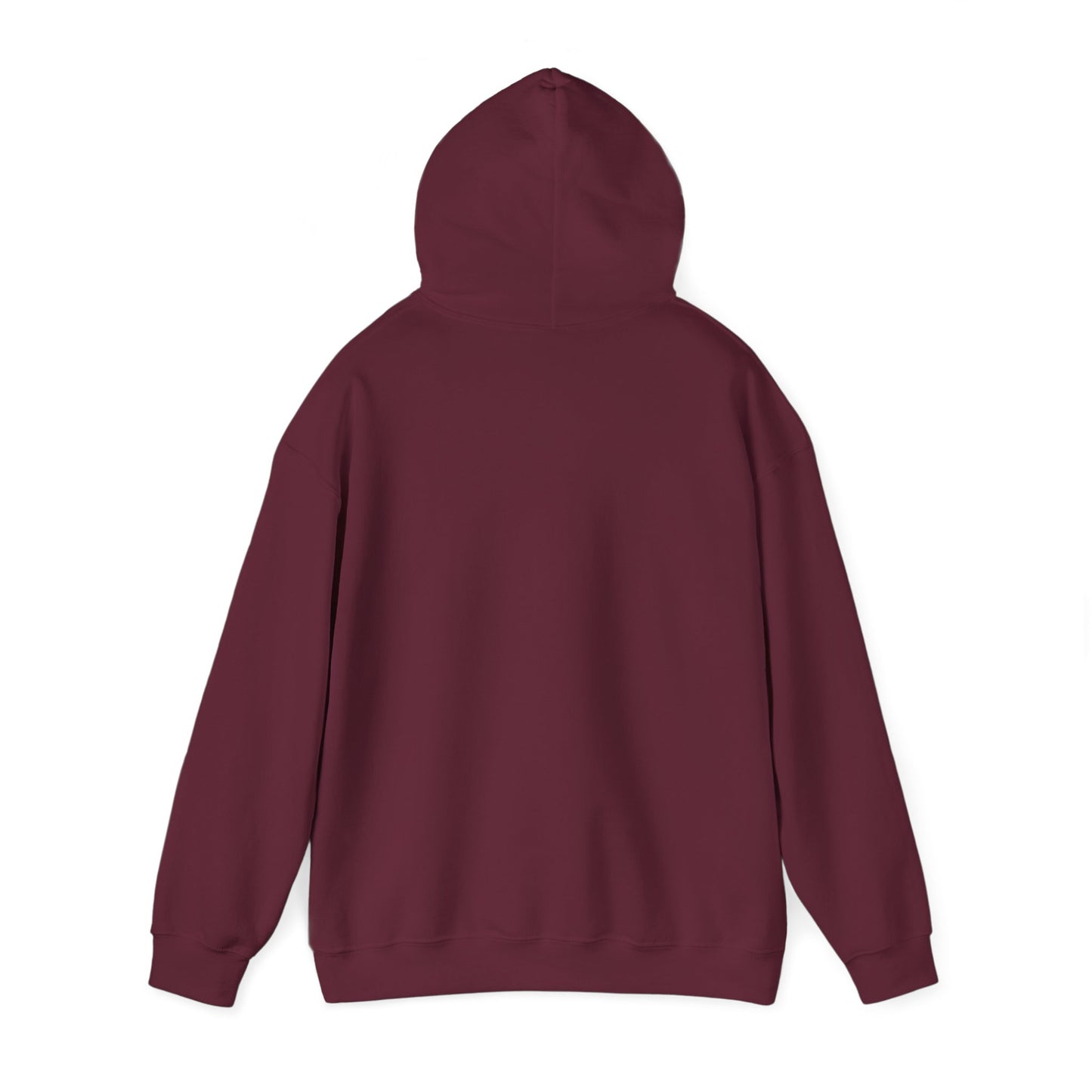 Divorced Parents Hoodie