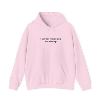 If I'm running Hoodie