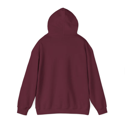 Divorced Parents Hoodie